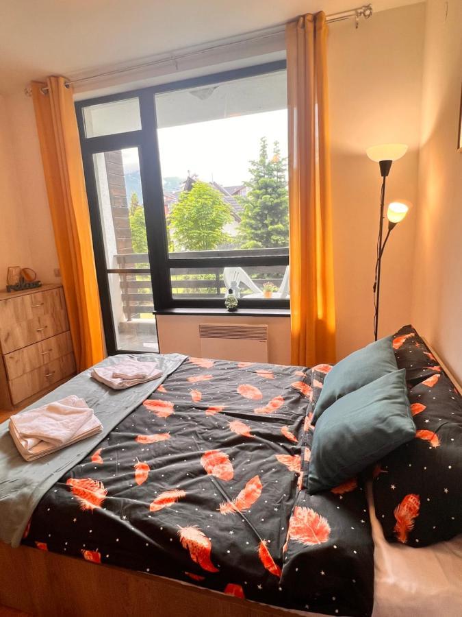 Cosy Studios With Mountain View Near Bansko Razlog Luaran gambar