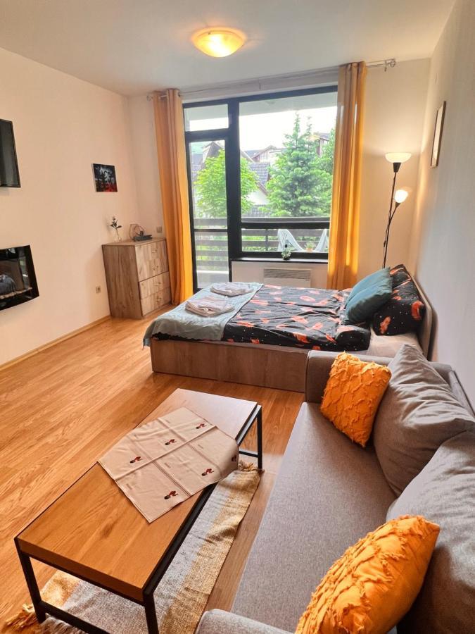 Cosy Studios With Mountain View Near Bansko Razlog Luaran gambar