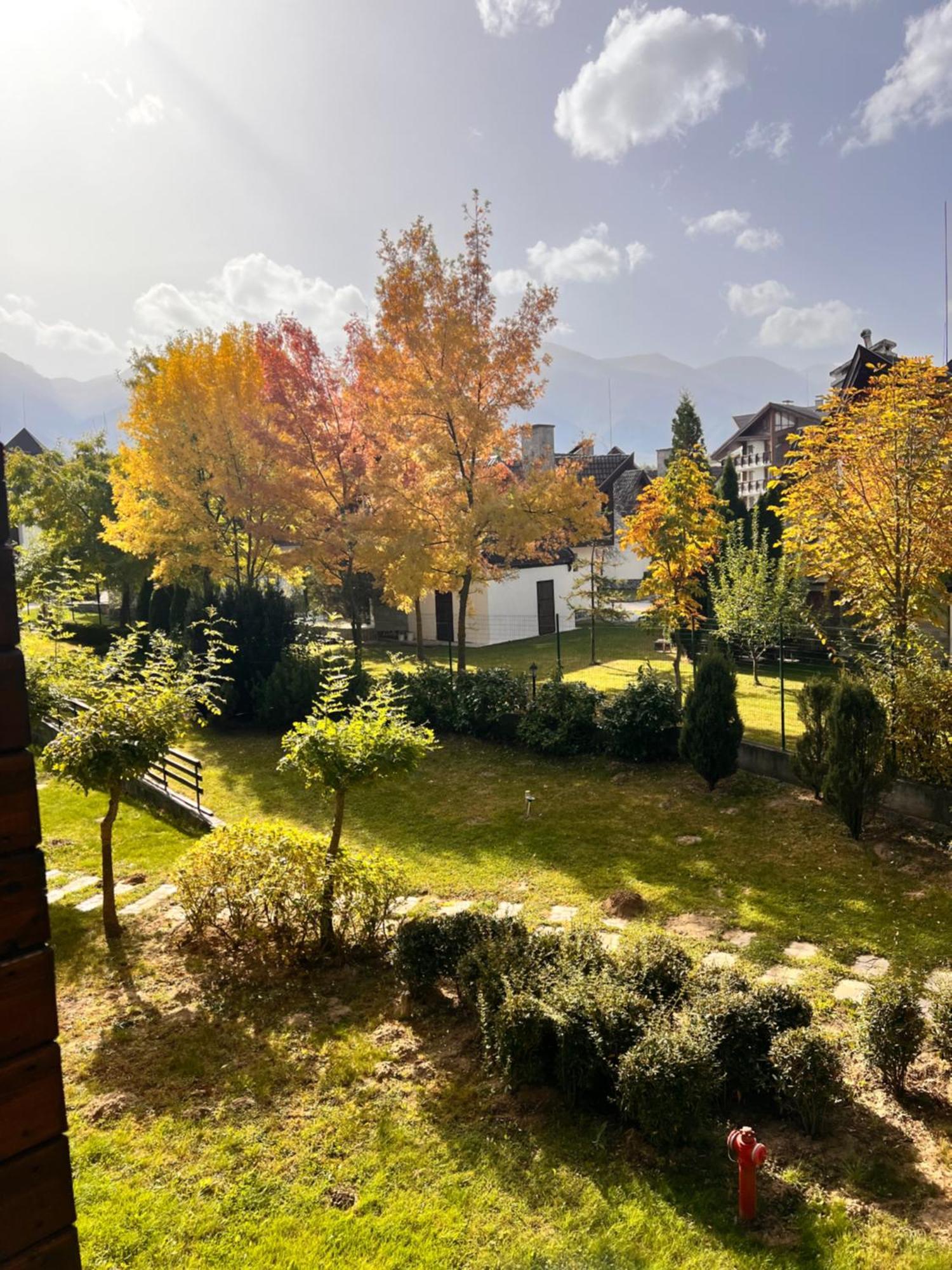 Cosy Studios With Mountain View Near Bansko Razlog Luaran gambar