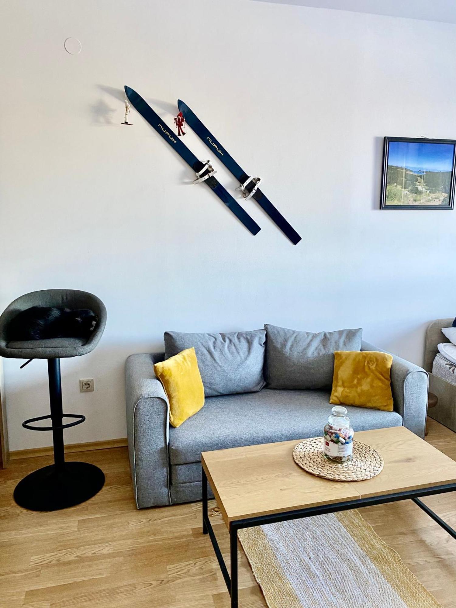Cosy Studios With Mountain View Near Bansko Razlog Luaran gambar